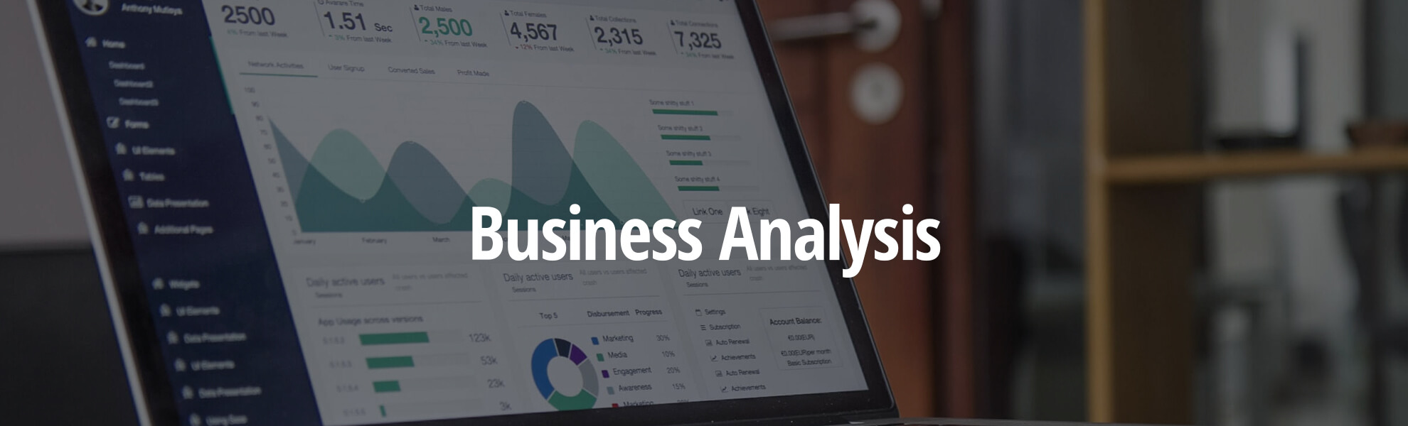 Page Banner - Business Analysis